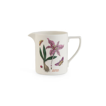 Botanic Garden Harmony 2 Pint Jug, Meadow Saffron